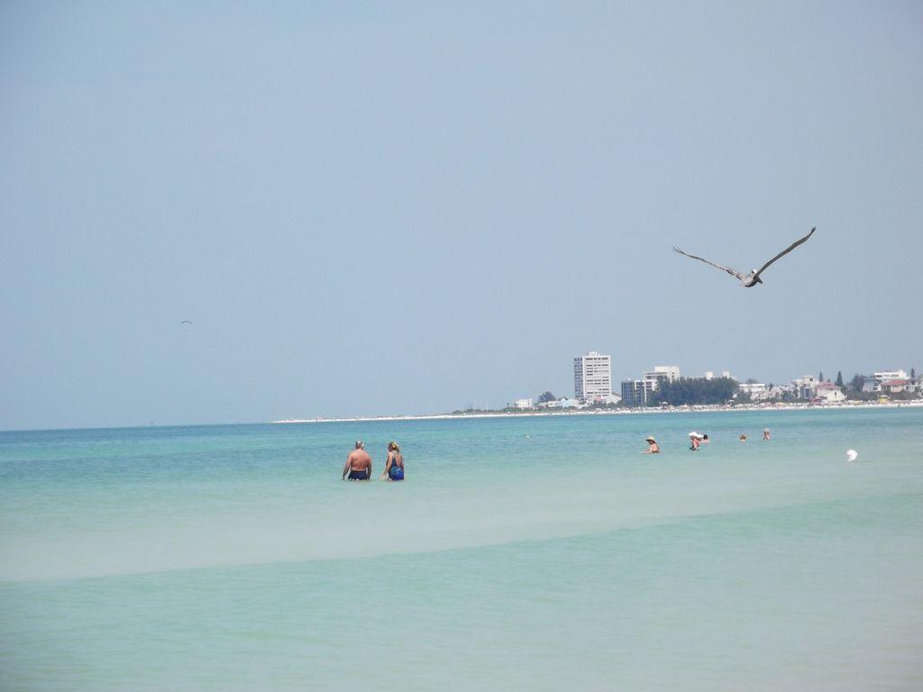2Br/1Ba Vacation Rental - Sienna Park Sarasota Bagian luar foto